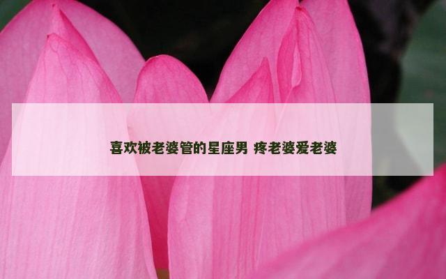 喜欢被老婆管的星座男 疼老婆爱老婆
