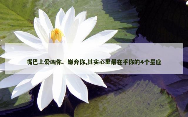 嘴巴上爱凶你、嫌弃你,其实心里最在乎你的4个星座
