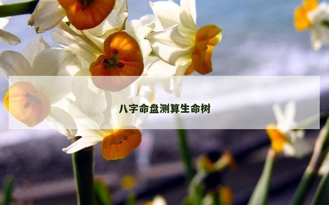 八字命盘测算生命树