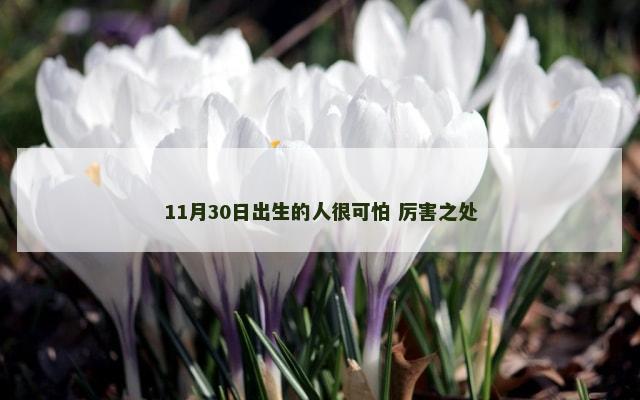 11月30日出生的人很可怕 厉害之处