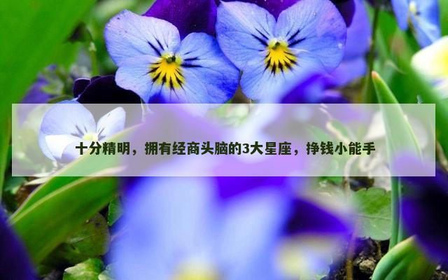 十分精明，拥有经商头脑的3大星座，挣钱小能手