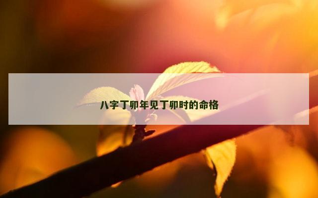 八字丁卯年见丁卯时的命格
