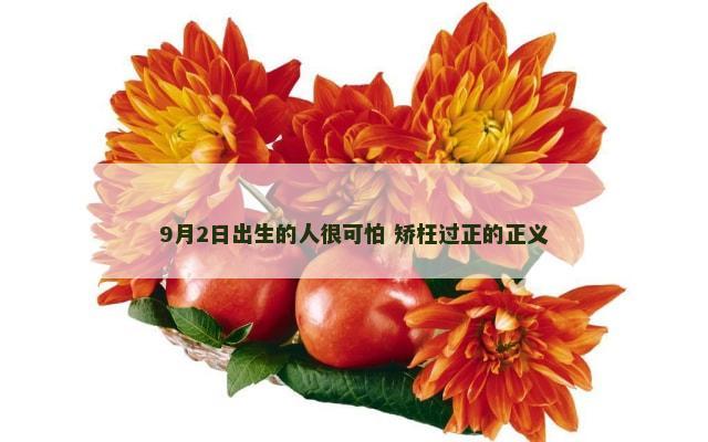 9月2日出生的人很可怕 矫枉过正的正义