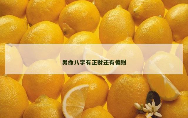 男命八字有正财还有偏财
