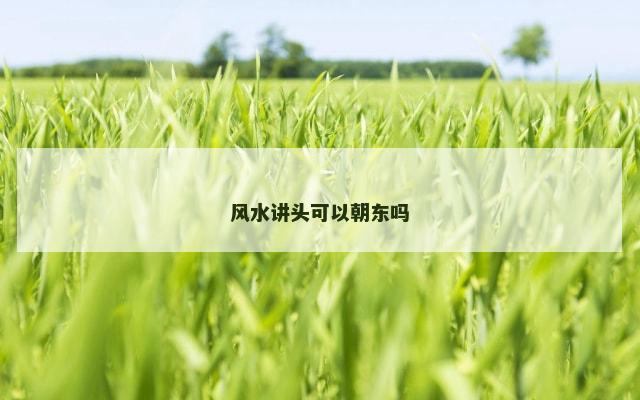 风水讲头可以朝东吗