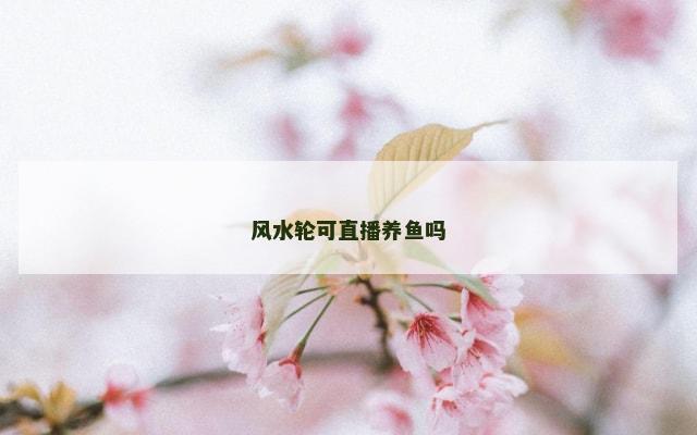 风水轮可直播养鱼吗