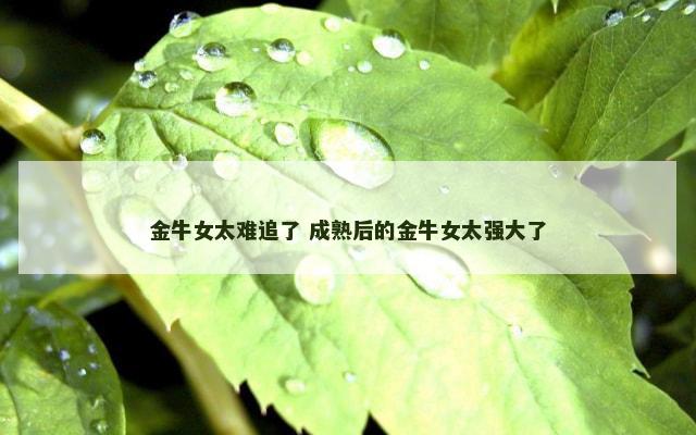 金牛女太难追了 成熟后的金牛女太强大了