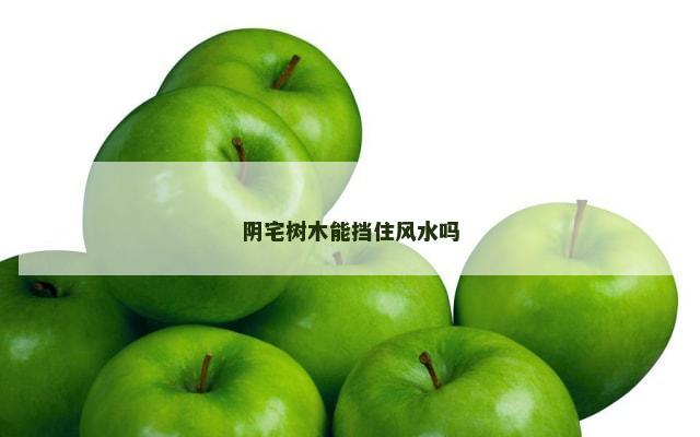 阴宅树木能挡住风水吗