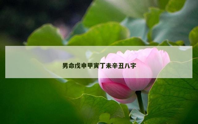男命戊申甲寅丁未辛丑八字