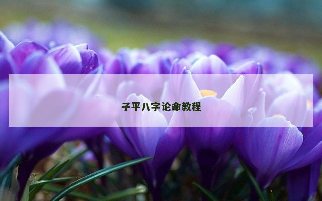 子平八字论命教程