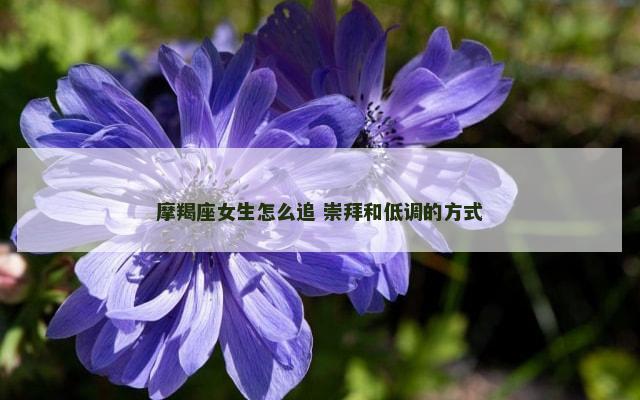 摩羯座女生怎么追 崇拜和低调的方式