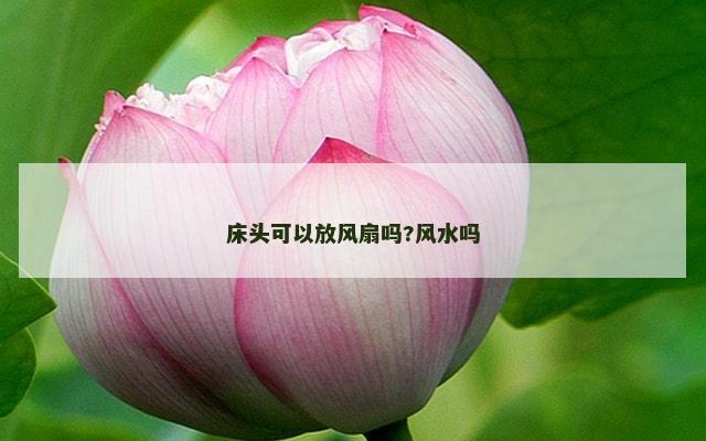 床头可以放风扇吗?风水吗