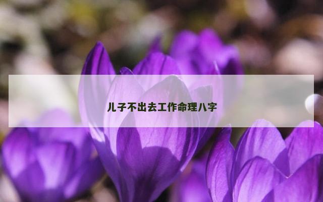 儿子不出去工作命理八字