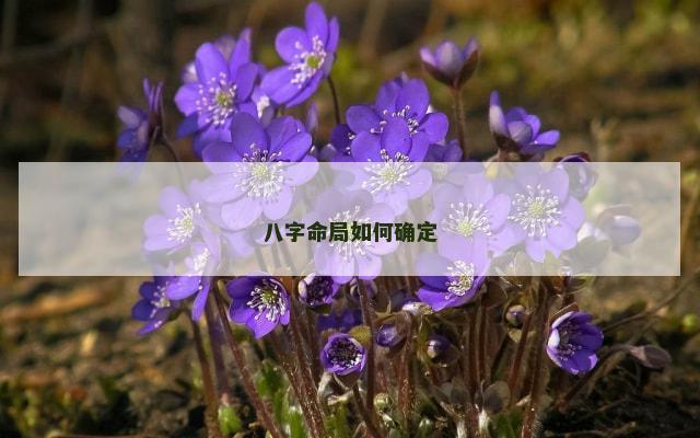 八字命局如何确定