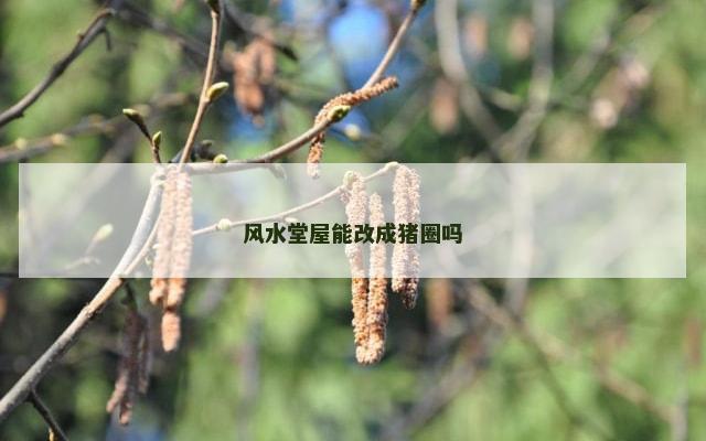 风水堂屋能改成猪圈吗