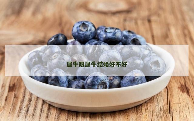 属牛跟属牛结婚好不好
