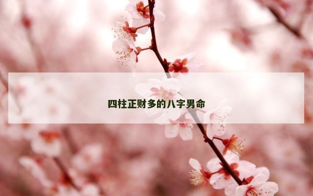四柱正财多的八字男命