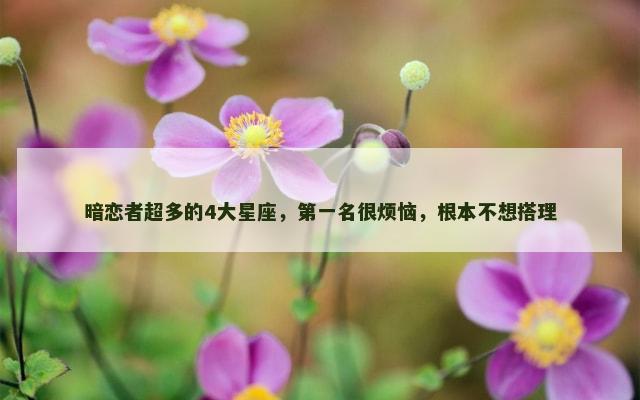 暗恋者超多的4大星座，第一名很烦恼，根本不想搭理