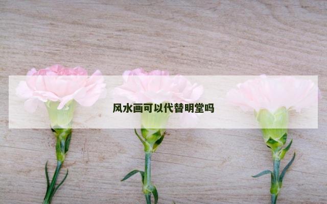 风水画可以代替明堂吗