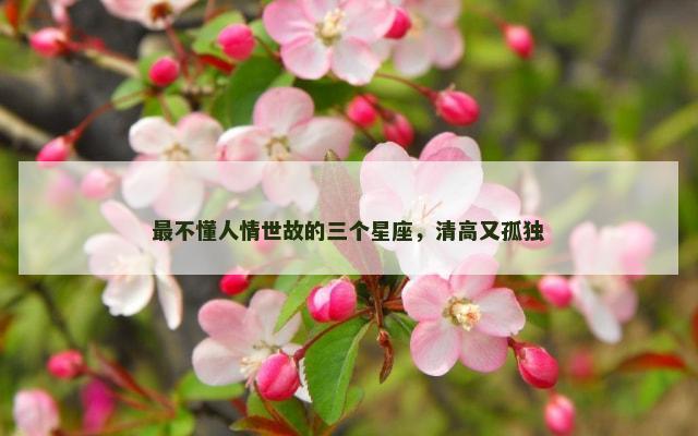 最不懂人情世故的三个星座，清高又孤独