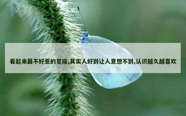 看起来最不好惹的星座,其实人好到让人意想不到,认识越久越喜欢