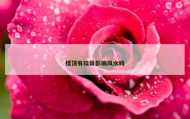 楼顶有垃圾影响风水吗