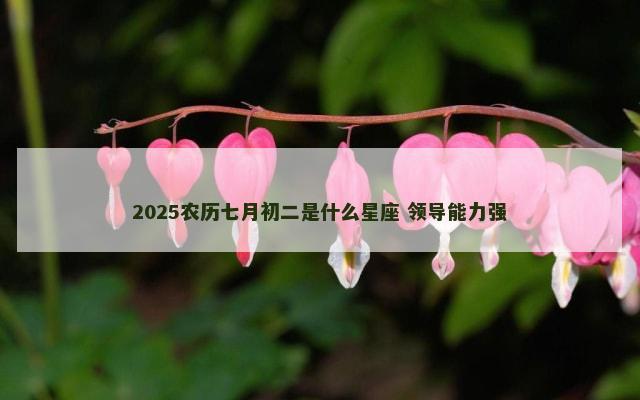 2025农历七月初二是什么星座 领导能力强