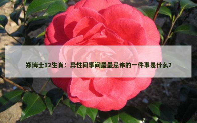 郑博士12生肖：异性同事间最最忌讳的一件事是什么？