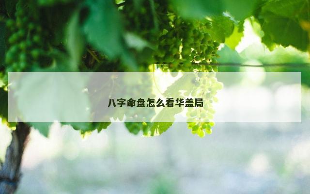 八字命盘怎么看华盖局