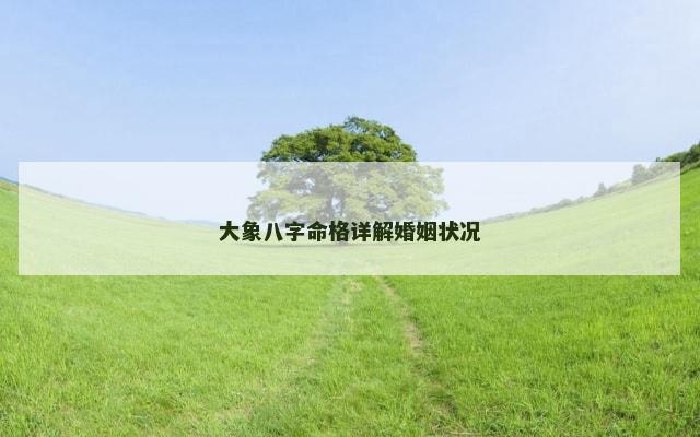 大象八字命格详解婚姻状况