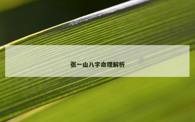 张一山八字命理解析