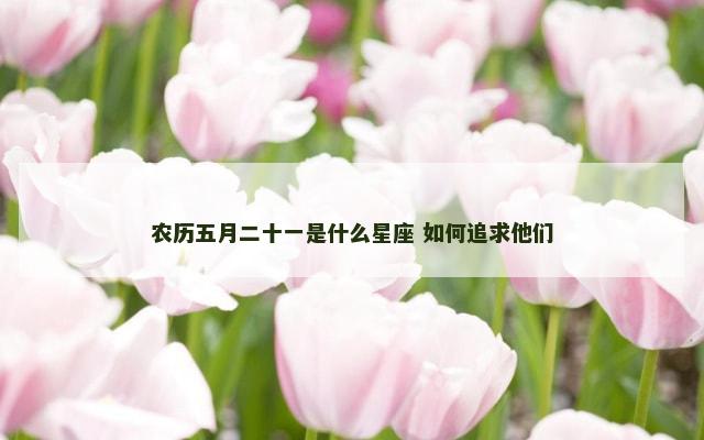 农历五月二十一是什么星座 如何追求他们