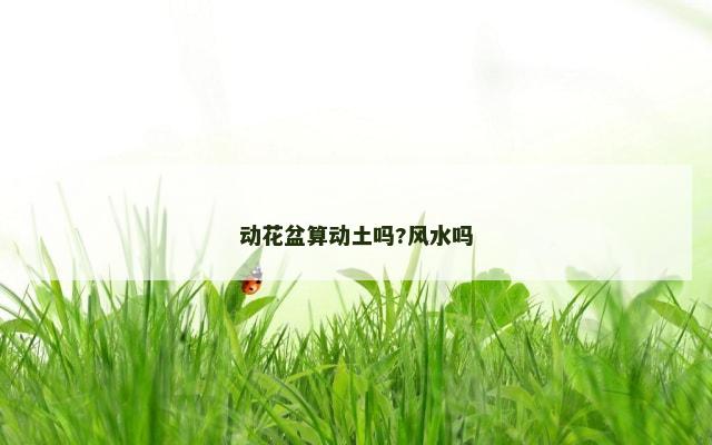 动花盆算动土吗?风水吗