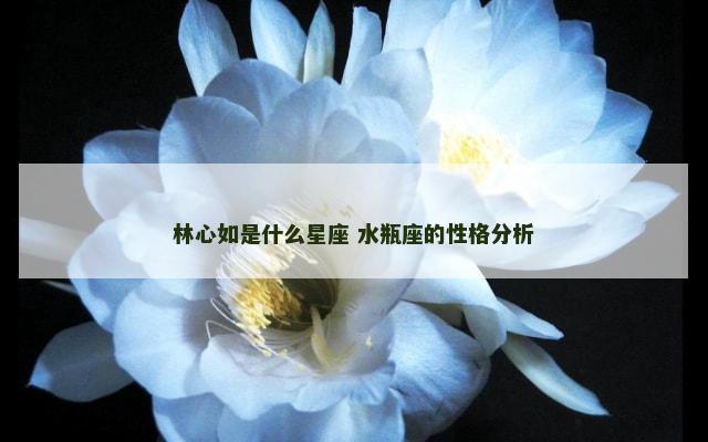林心如是什么星座 水瓶座的性格分析