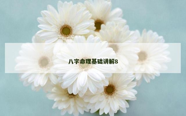 八字命理基础讲解8