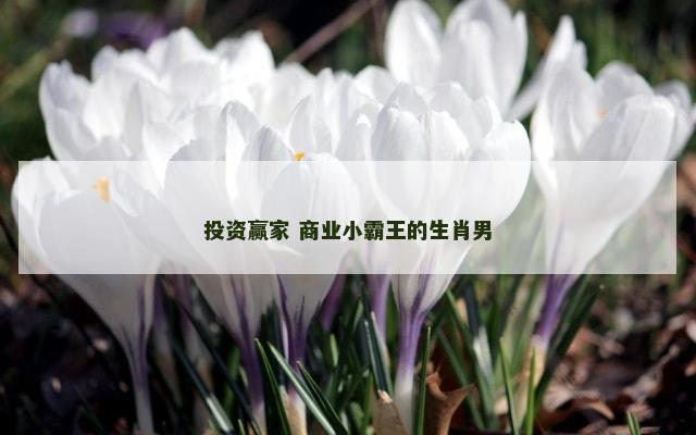 投资赢家 商业小霸王的生肖男