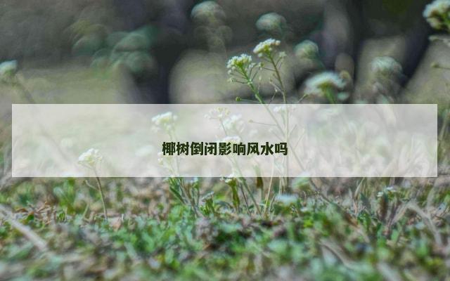椰树倒闭影响风水吗
