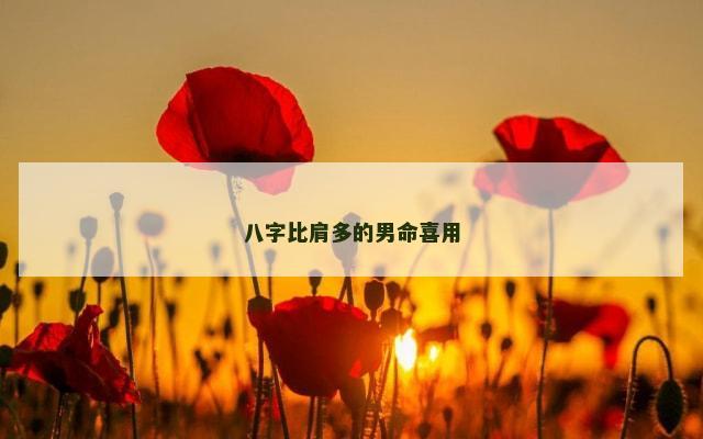 八字比肩多的男命喜用
