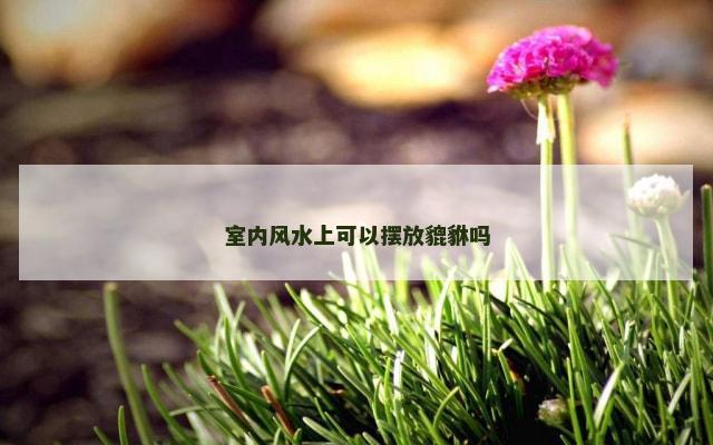 室内风水上可以摆放貔貅吗