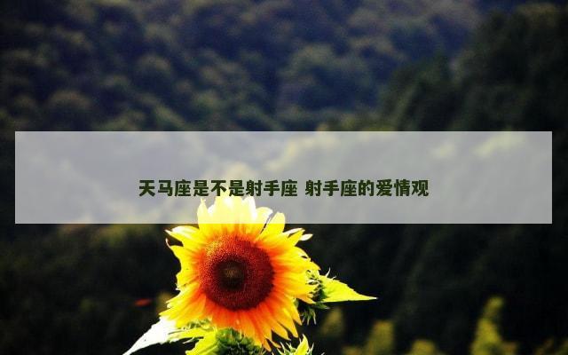 天马座是不是射手座 射手座的爱情观