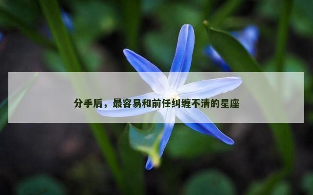 分手后，最容易和前任纠缠不清的星座