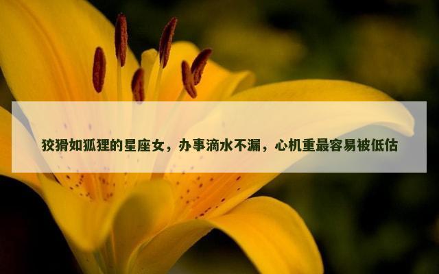 狡猾如狐狸的星座女，办事滴水不漏，心机重最容易被低估