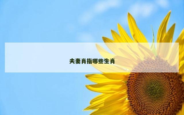 夫妻肖指哪些生肖