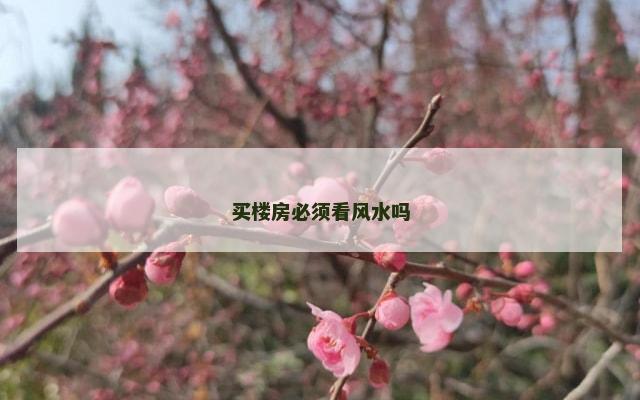 买楼房必须看风水吗
