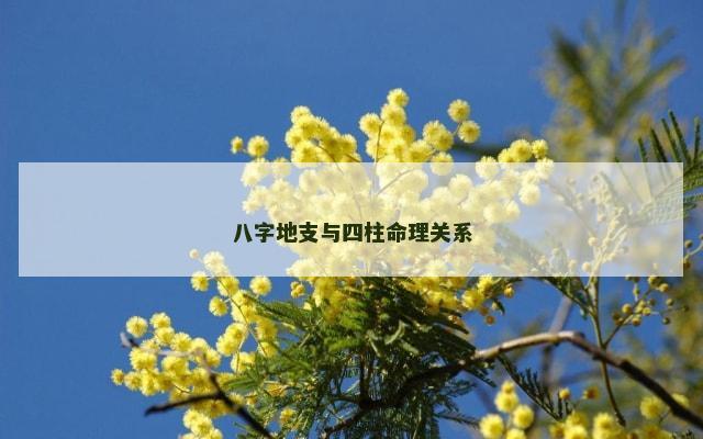 八字地支与四柱命理关系