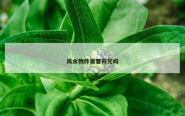 风水物件需要开光吗