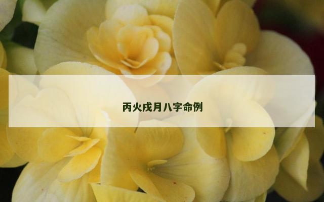 丙火戌月八字命例