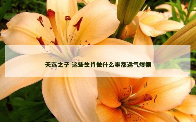 天选之子 这些生肖做什么事都运气爆棚