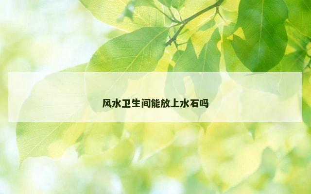 风水卫生间能放上水石吗