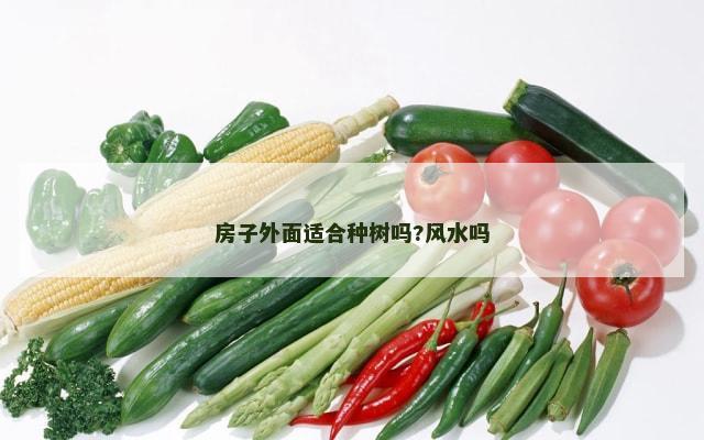 房子外面适合种树吗?风水吗